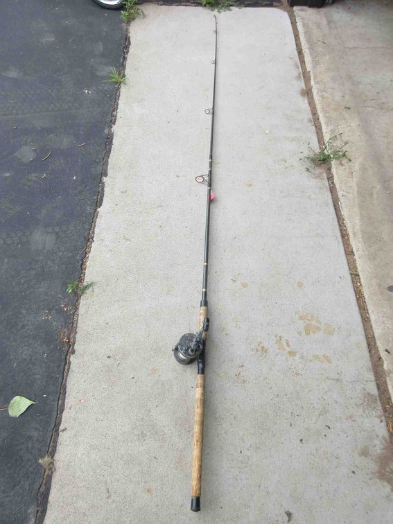 Daiwa 8'9" rod