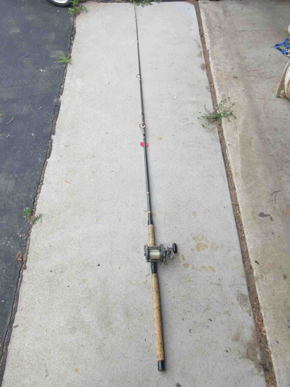 Daiwa 8'9" rod