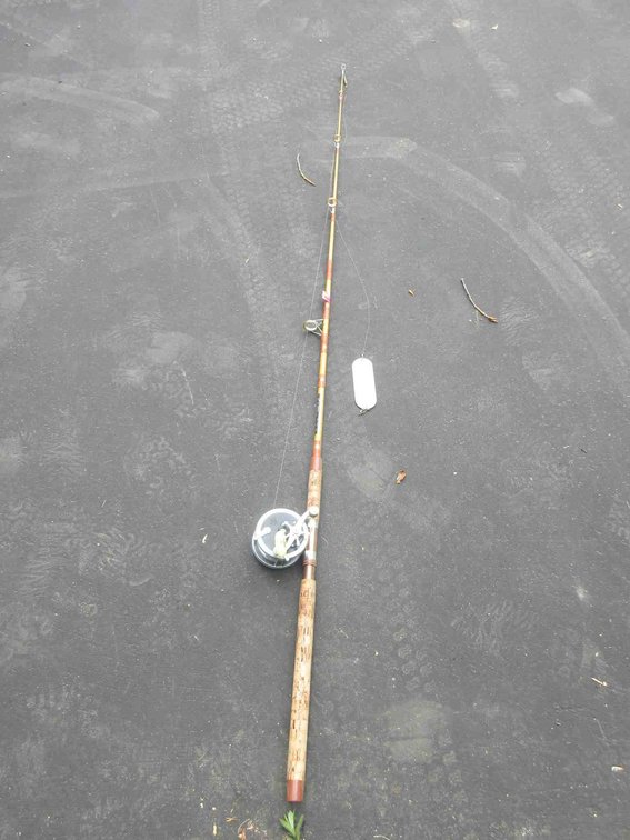 S.W. Mooching Olympic 8ft fishing rod