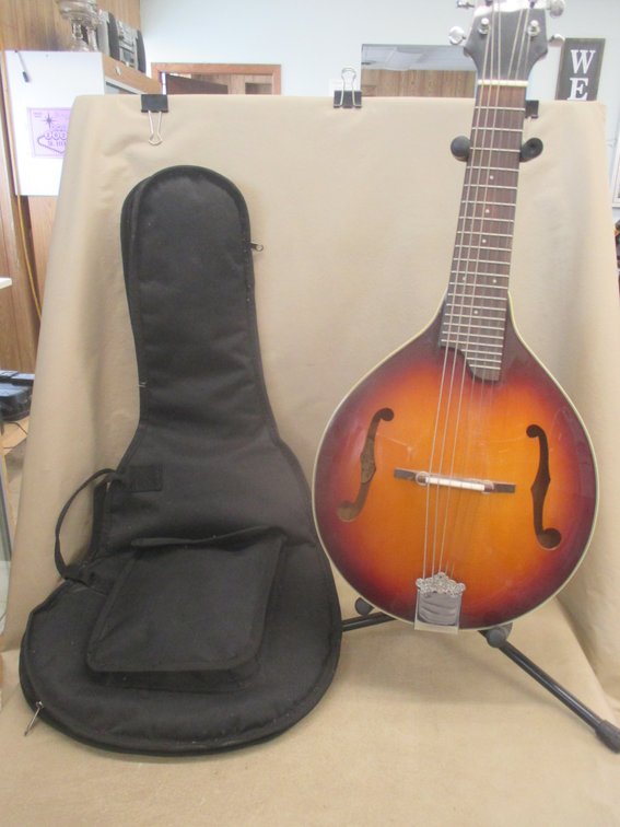 Gold Tonee GM-6 Mando-Guitar