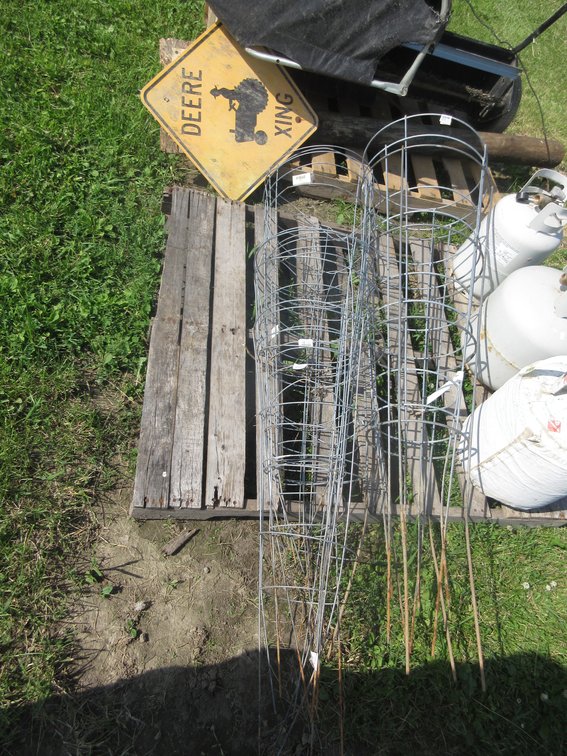 Group of tomato cages