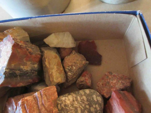 Image for Group of rocks and petrified wood