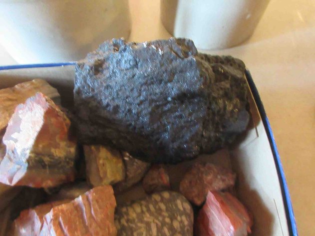 Image for Group of rocks and petrified wood