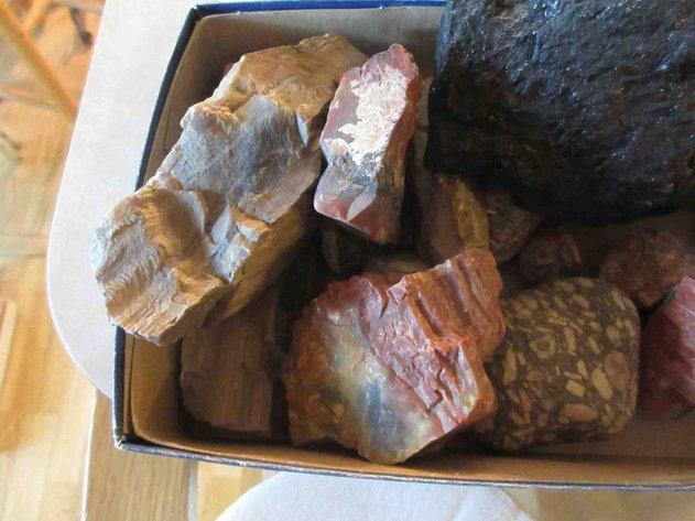 Image for Group of rocks and petrified wood