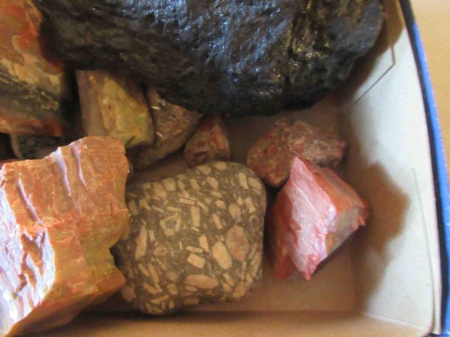 Image for Group of rocks and petrified wood