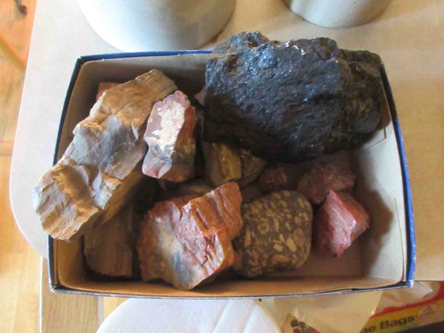 Image for Group of rocks and petrified wood