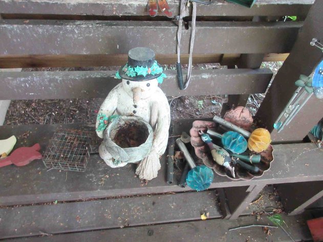Image for Group on deck
