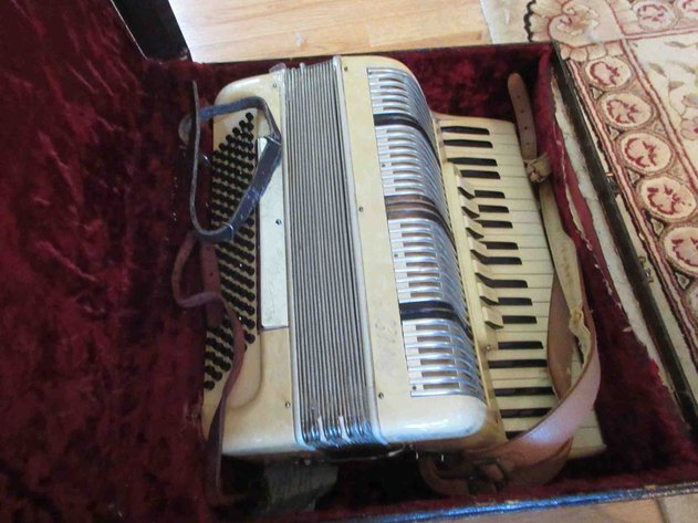 Image for Ability accordion in case