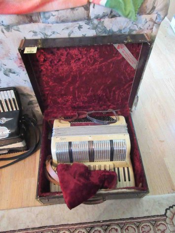 Image for Ability accordion in case