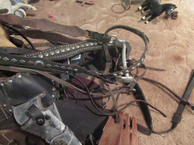 Image for Horse tack