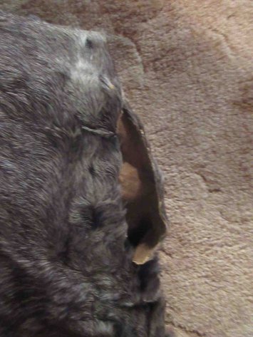 Image for Antique fur sleigh blanket