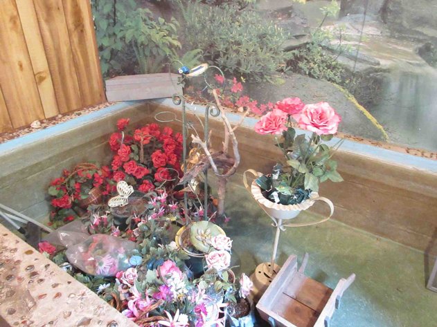 Image for Group in pond area