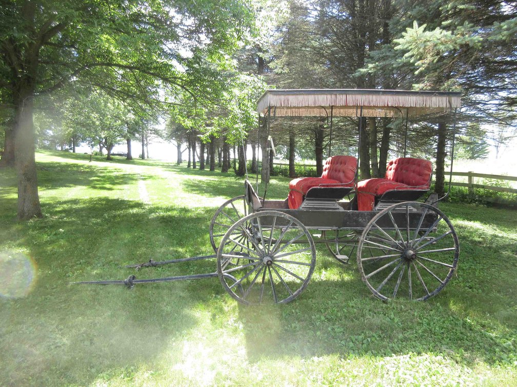 Antique 2-seat horse buggy with single horse pole