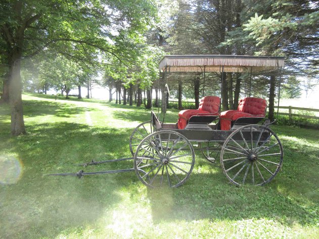 Image for Antique 2-seat horse buggy with single horse pole