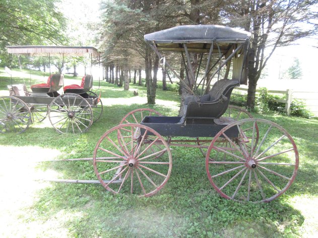 Image for Antique single seat buggy with single horse pole