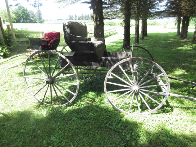 Image for Antique single seat buggy with single horse pole