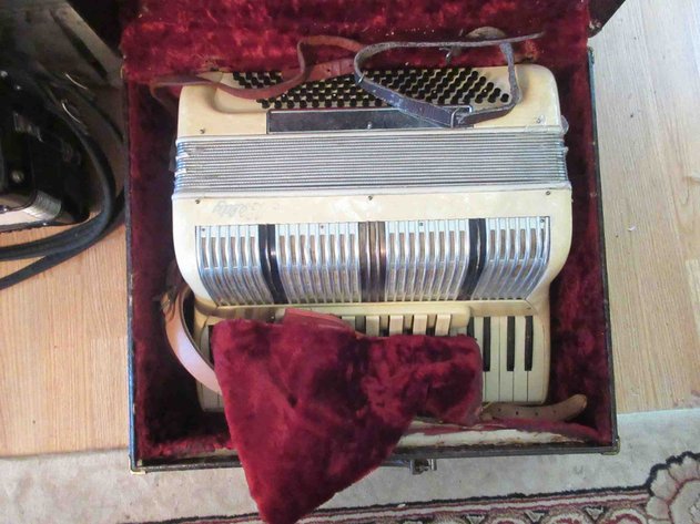 Image for Ability accordion in case