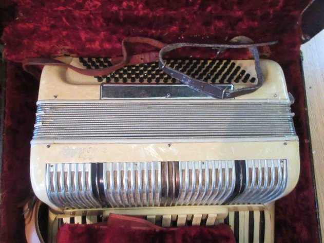 Image for Ability accordion in case
