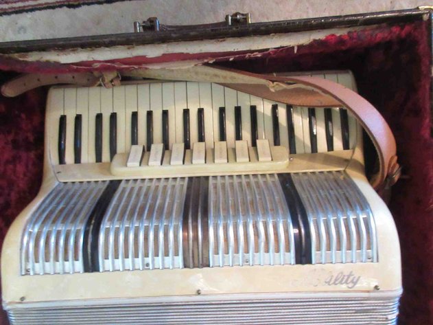 Image for Ability accordion in case