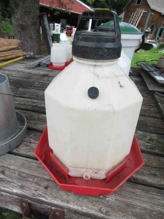 Plastic chicken waterer