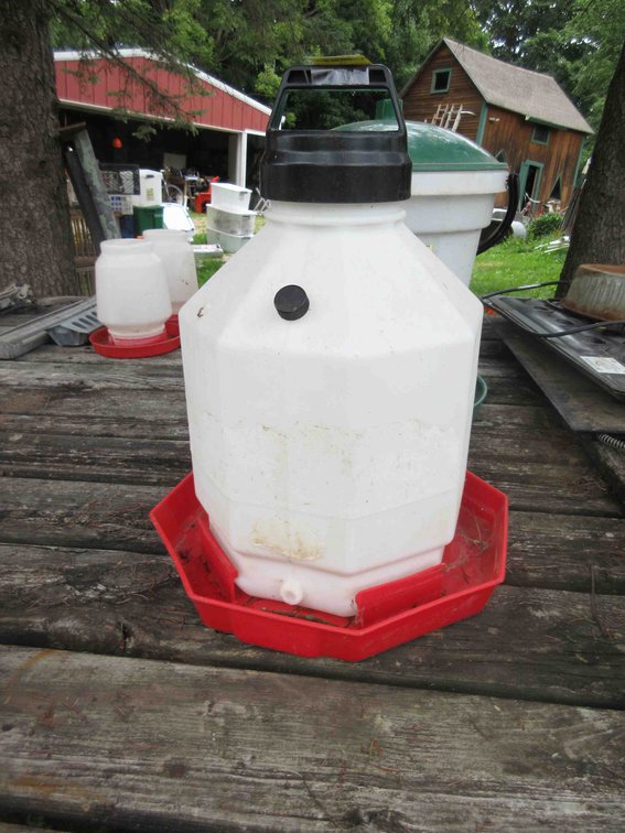 Plastic chicken waterer