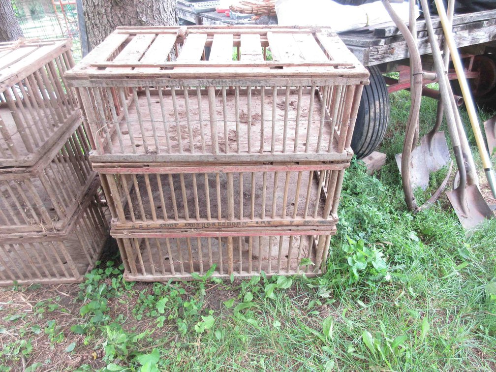(3) Wood chicken crates