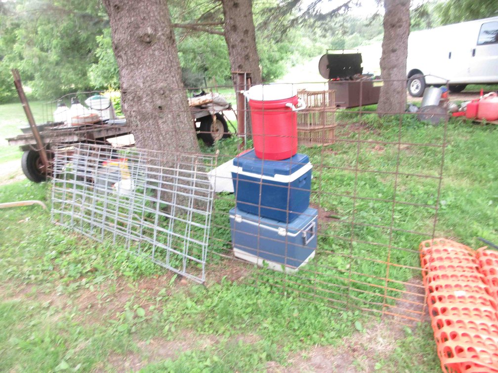(4) Steel cattle panels