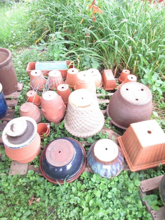 Pallet of ceramic and plastic planters