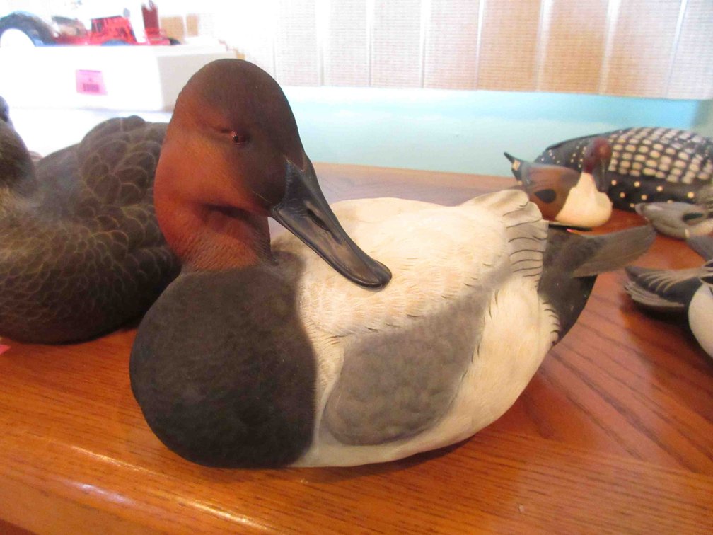 2000-01 Ducks Unlimited Canvasback Drake special edition duck decoy