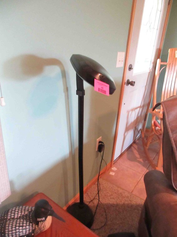 Fluorescent floor lamp
