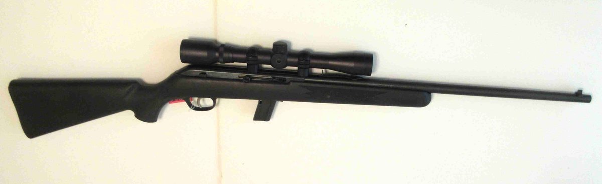 Savage model 64 .22LR only semi auto rifle (subject to background check)