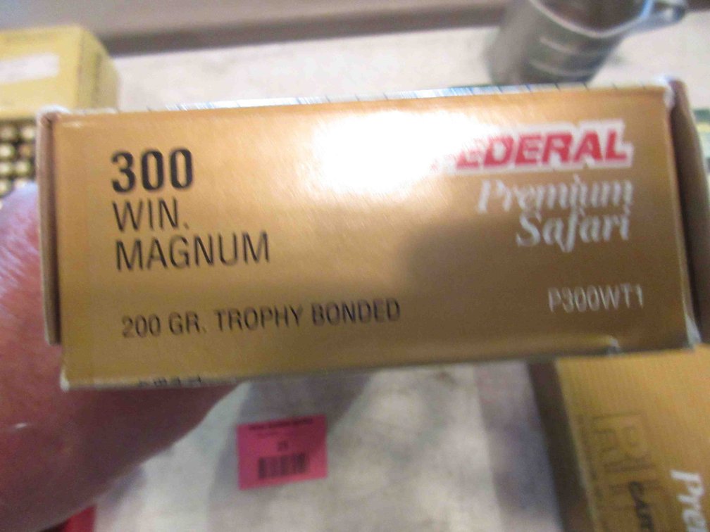 (20) Rounds of Federal .300-WIN MAG ammunition