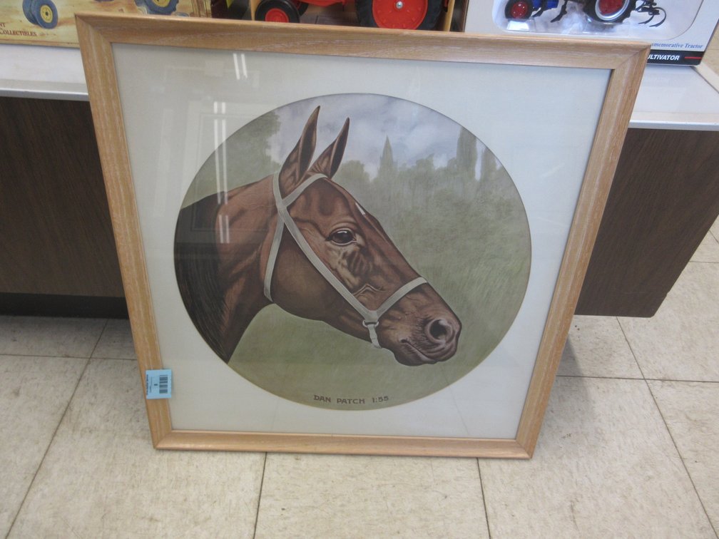 Framed "Dan Patch" race horse print