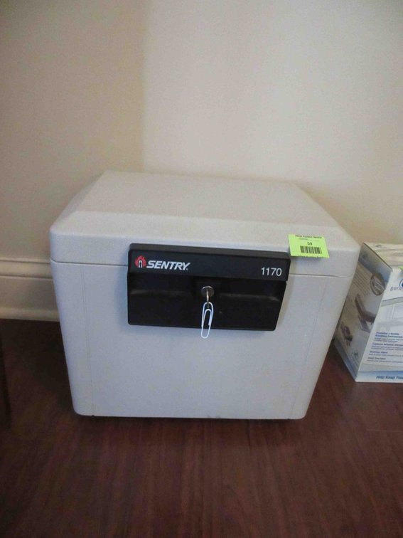 Sentry 1170 file safe