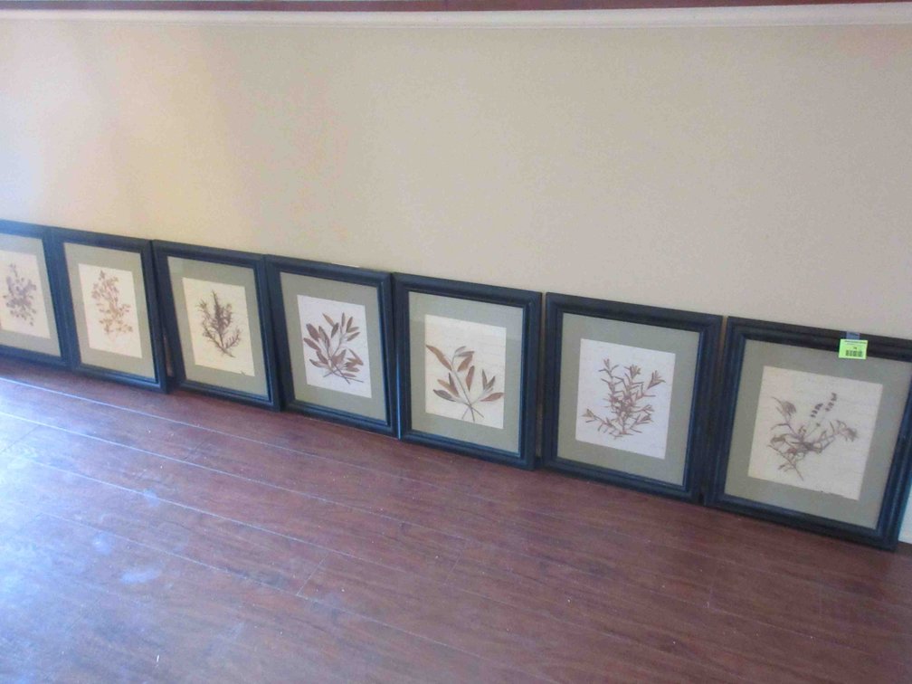 (7) Preserved plants in frames