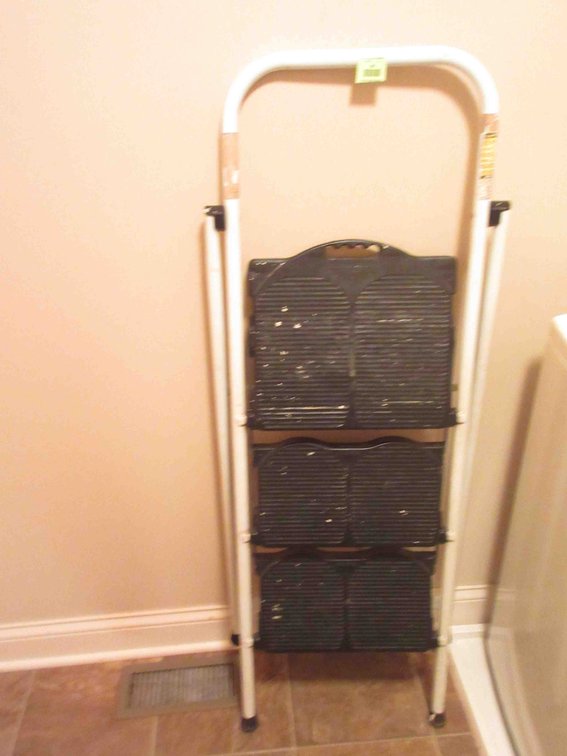 Stapleton step ladder
