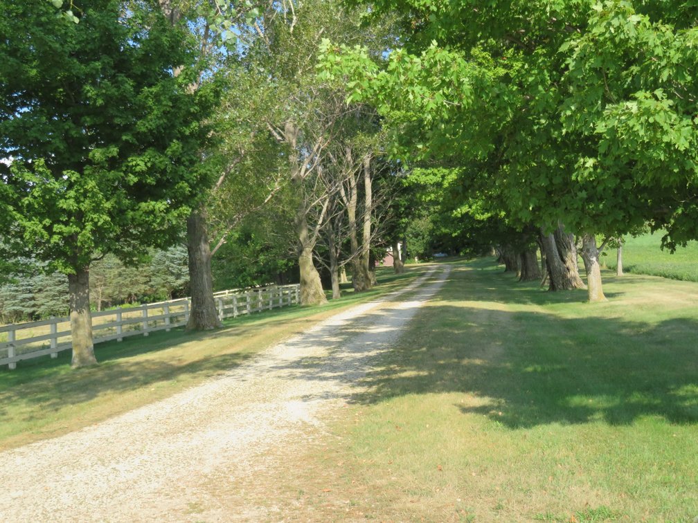 Image for Home on 6+/1 Acres - Ready for Horses!!