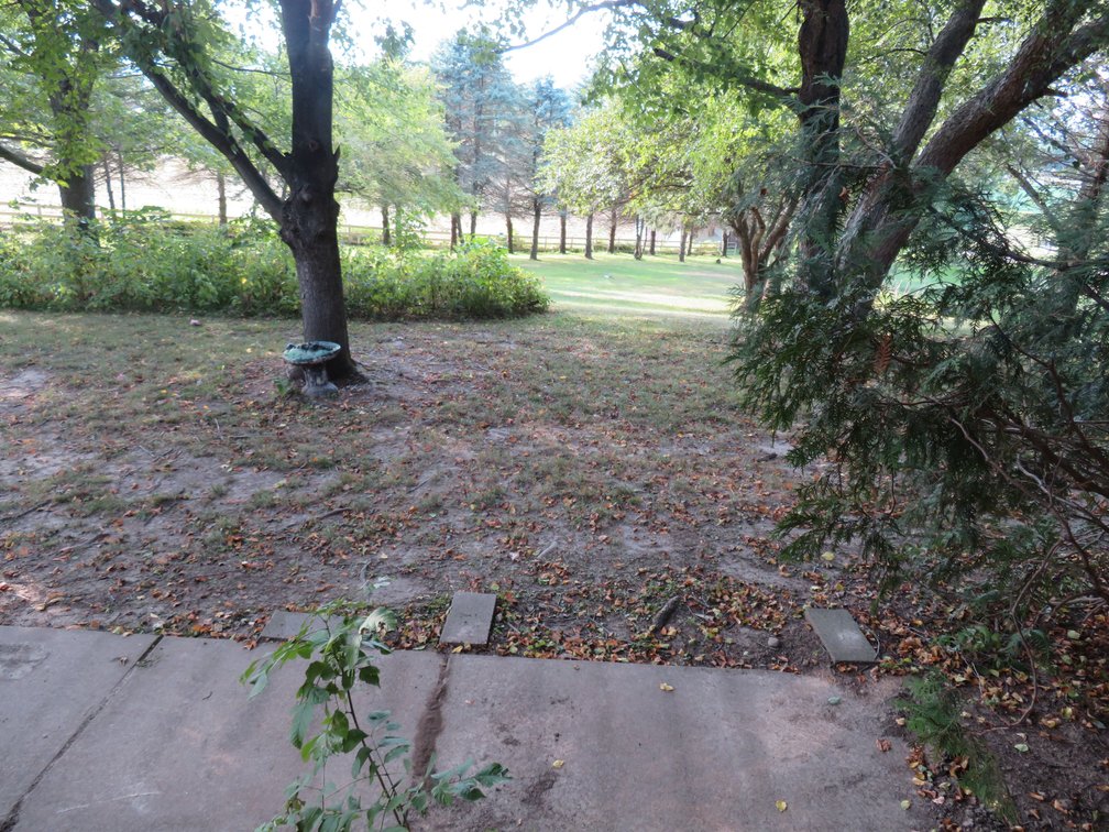 Image for Home on 6+/1 Acres - Ready for Horses!!