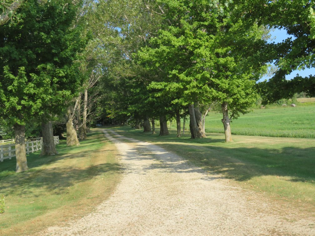 Image for Home on 6+/1 Acres - Ready for Horses!!