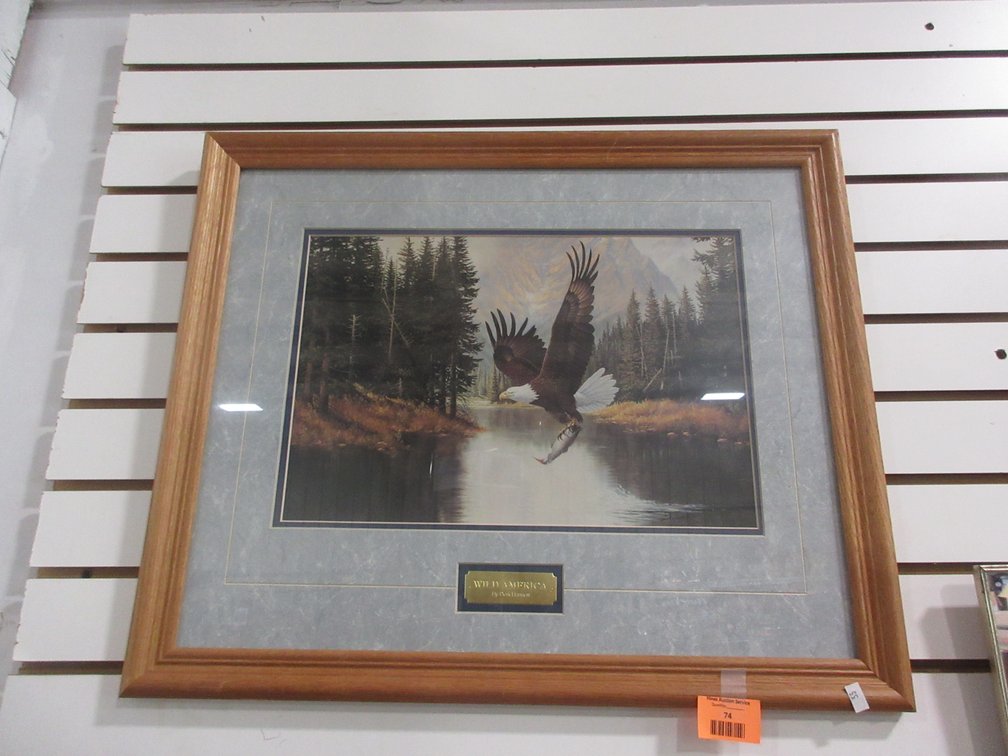 Framed "Derk" "Wild America" eagle print