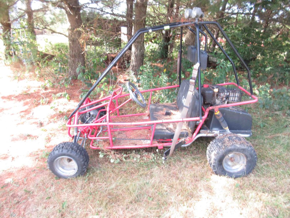 Carter 2-seater gas golf cart