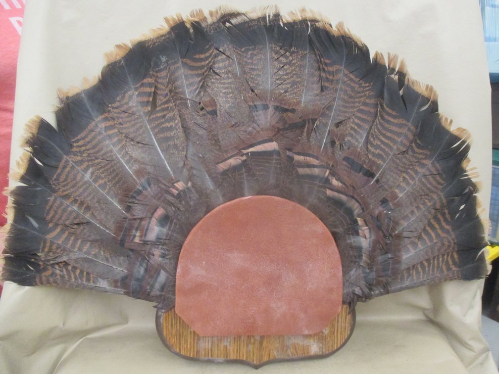Turkey fan wall mount
