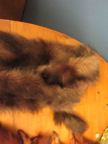 Image for Fur collar