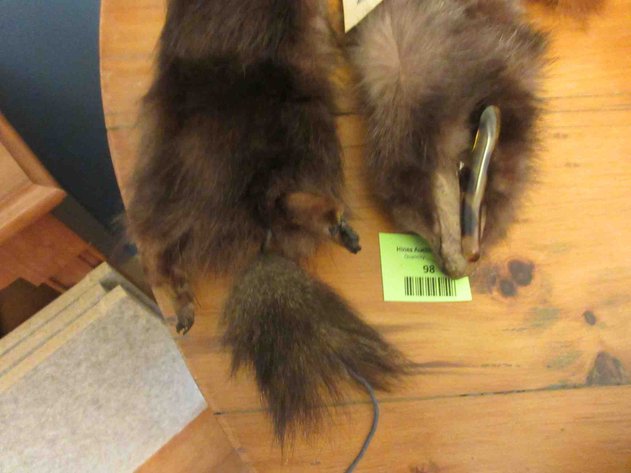 Image for Fur collar