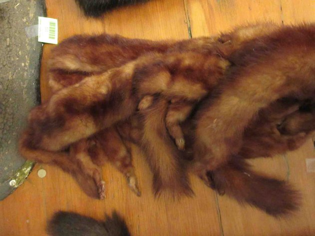 Image for Fur collar
