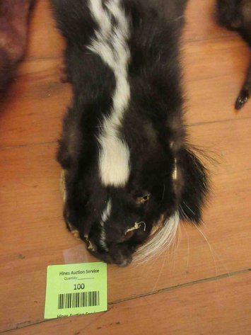 Image for Fur collar