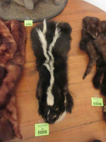 Image for Fur collar
