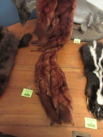 Image for Fur collar