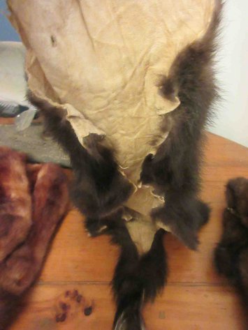 Image for Fur collar