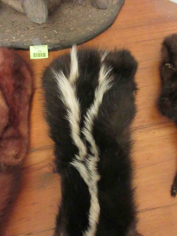 Image for Fur collar